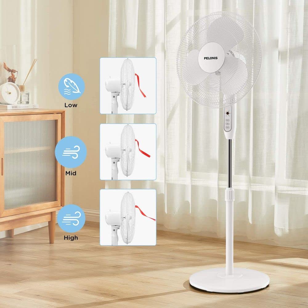 16" Adjustable Oscillating Pedestal Fan with Remote Q62346