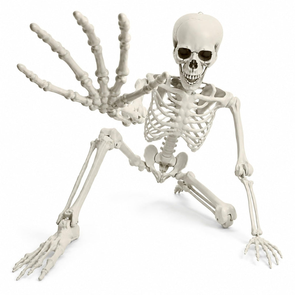 Life Size Posable Skeleton X894952