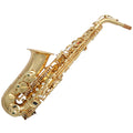 Alto Saxophone F2096