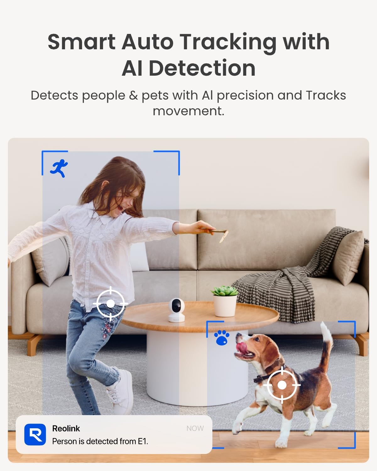 Home Security Camera System 2 Pack F784