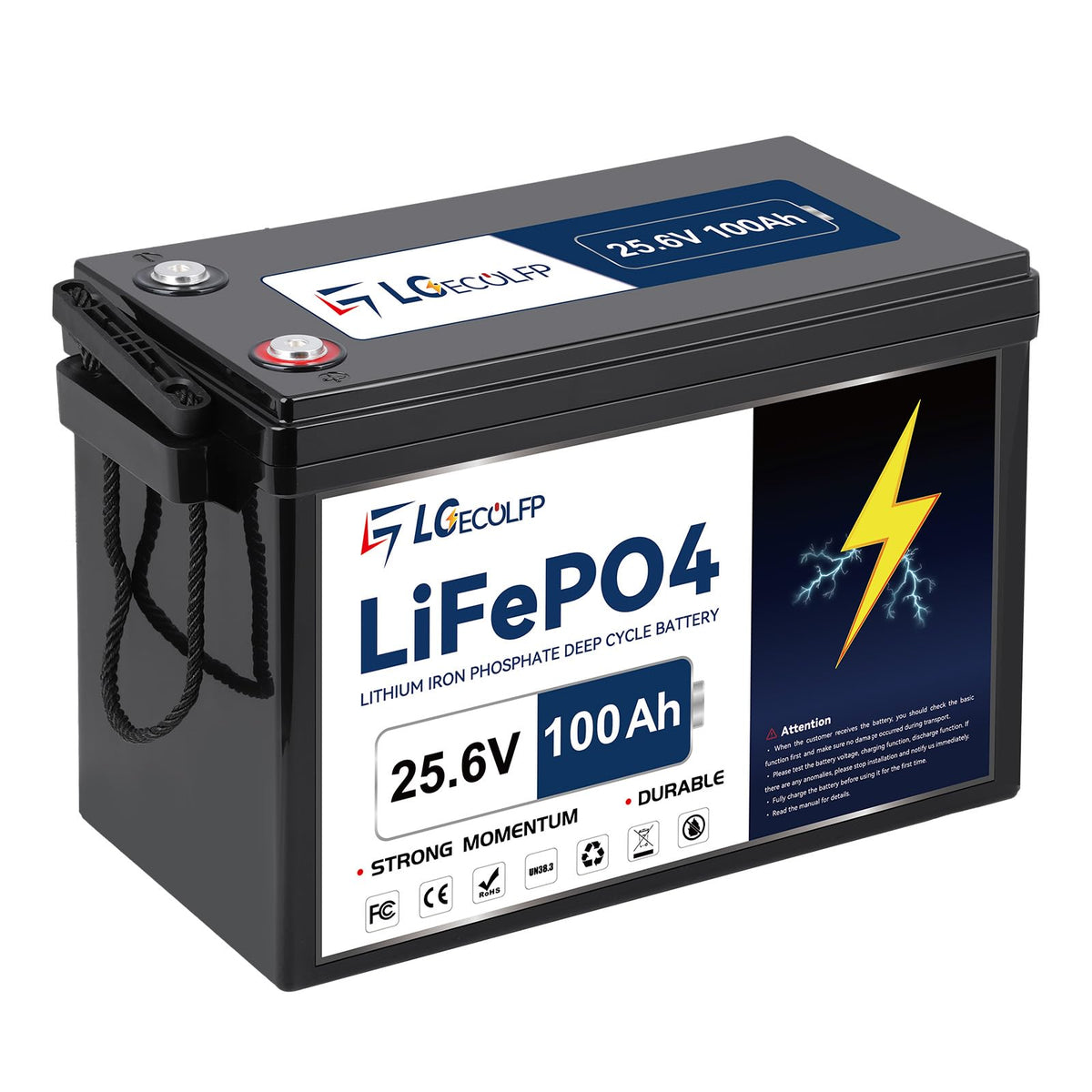 24V 100Ah LiFePO4 Battery with 100A BMS M1935