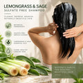 Sulfate-Free Shampoo & Conditioner Set 8 oz N161
