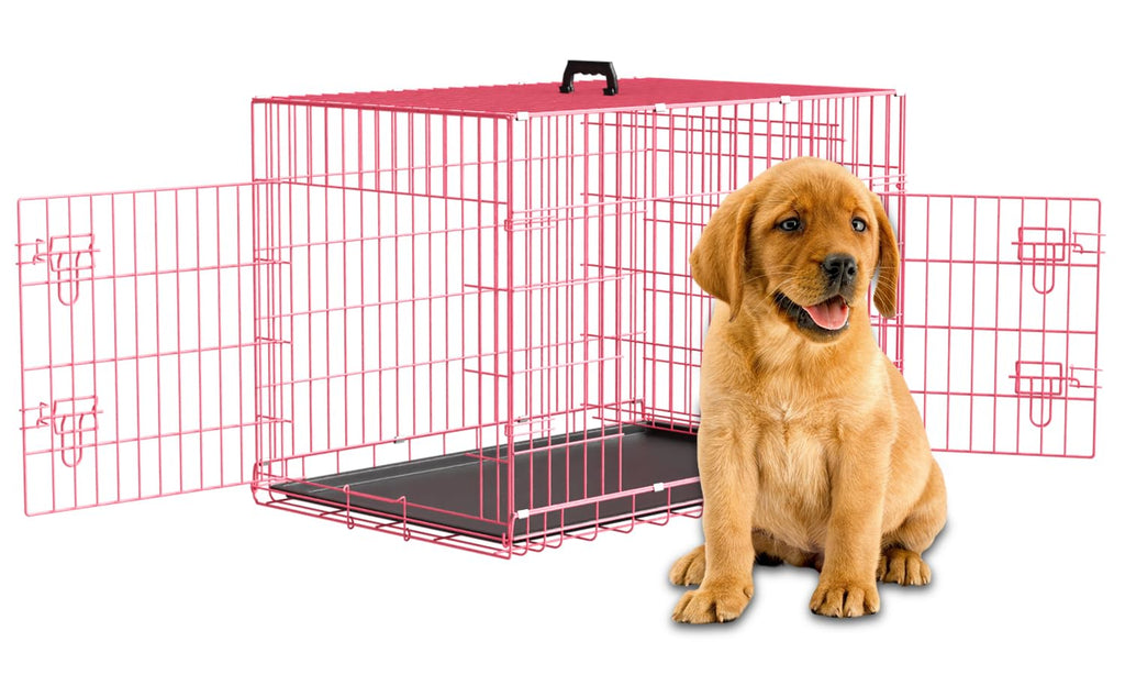 36" Metal Wire Folding Dog Crate with Divider Panel Y60528