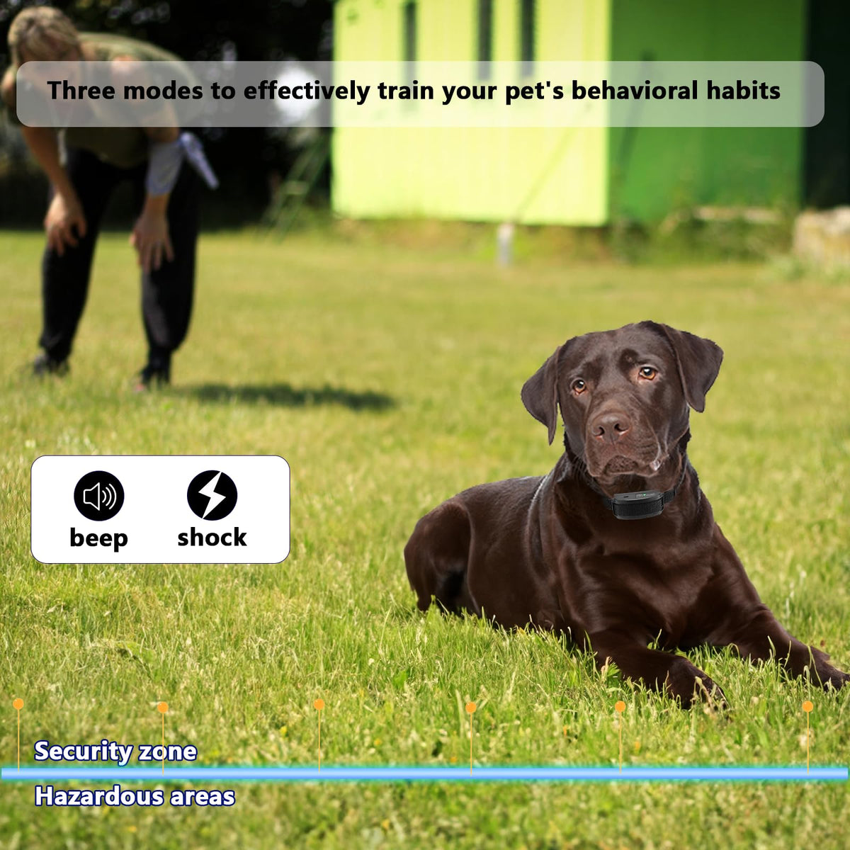 In-Ground Electric Dog Fence System with 2 Collars B97648