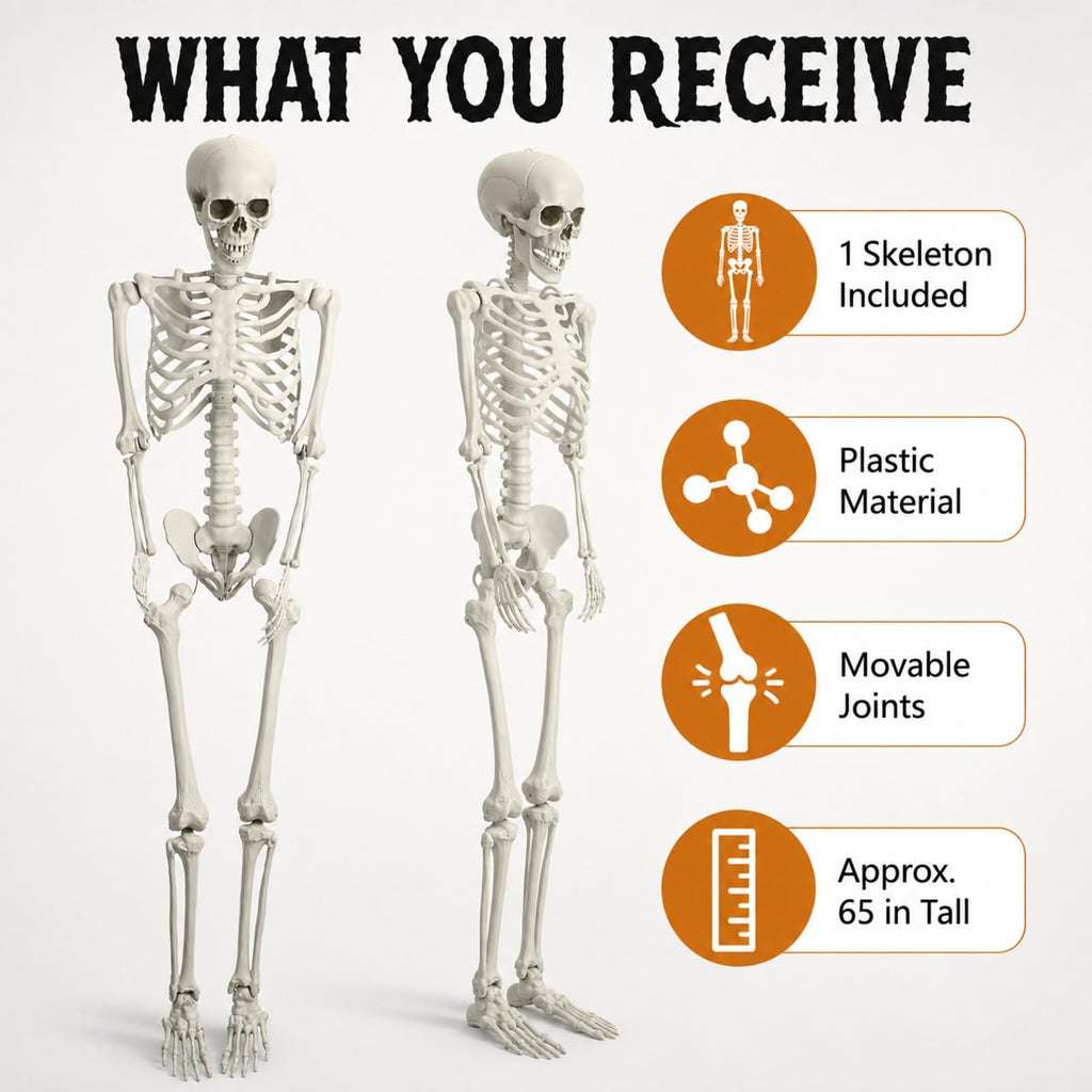 Life Size Posable Skeleton X894952