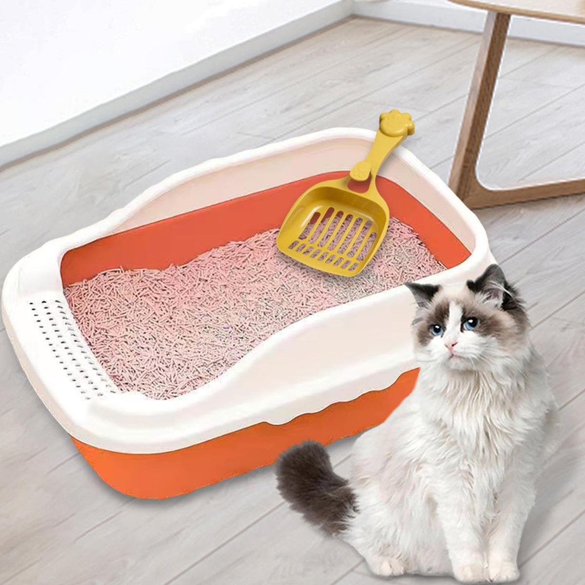 Open Top Cat Litter Box P5792