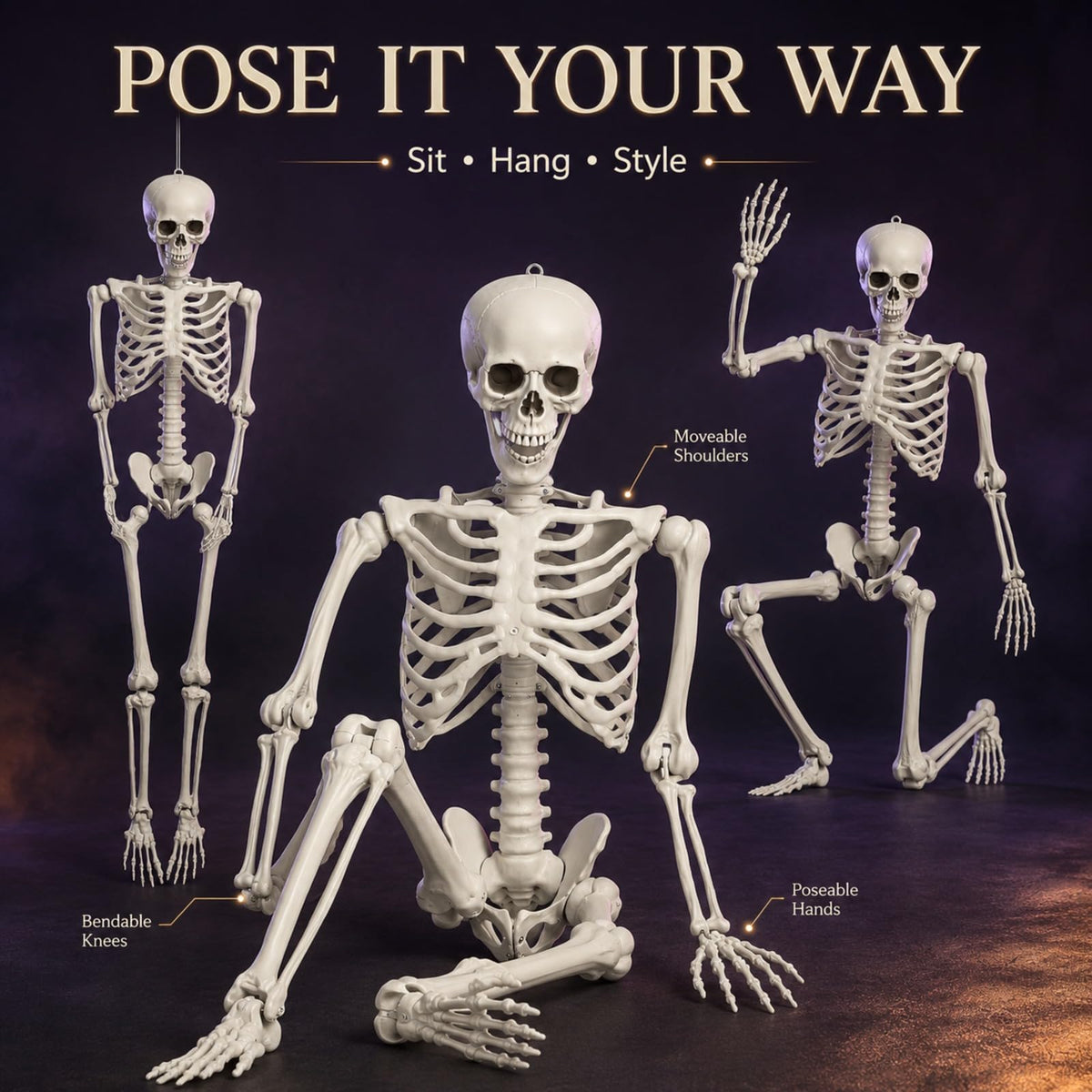 Life Size Posable Skeleton X894952