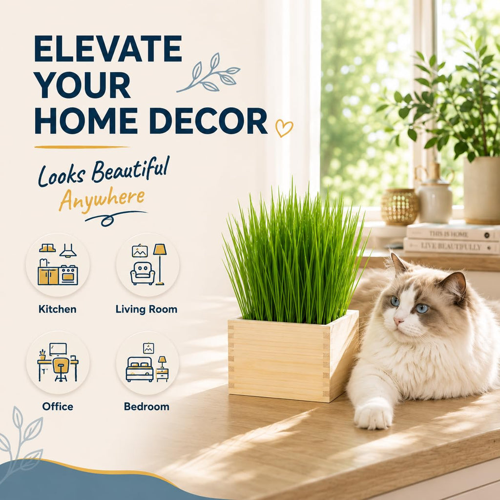 Cat Grass Growing Kit with Wooden Planter E374