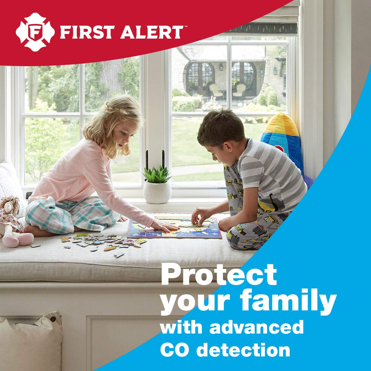 Battery Carbon Monoxide Alarm D52546