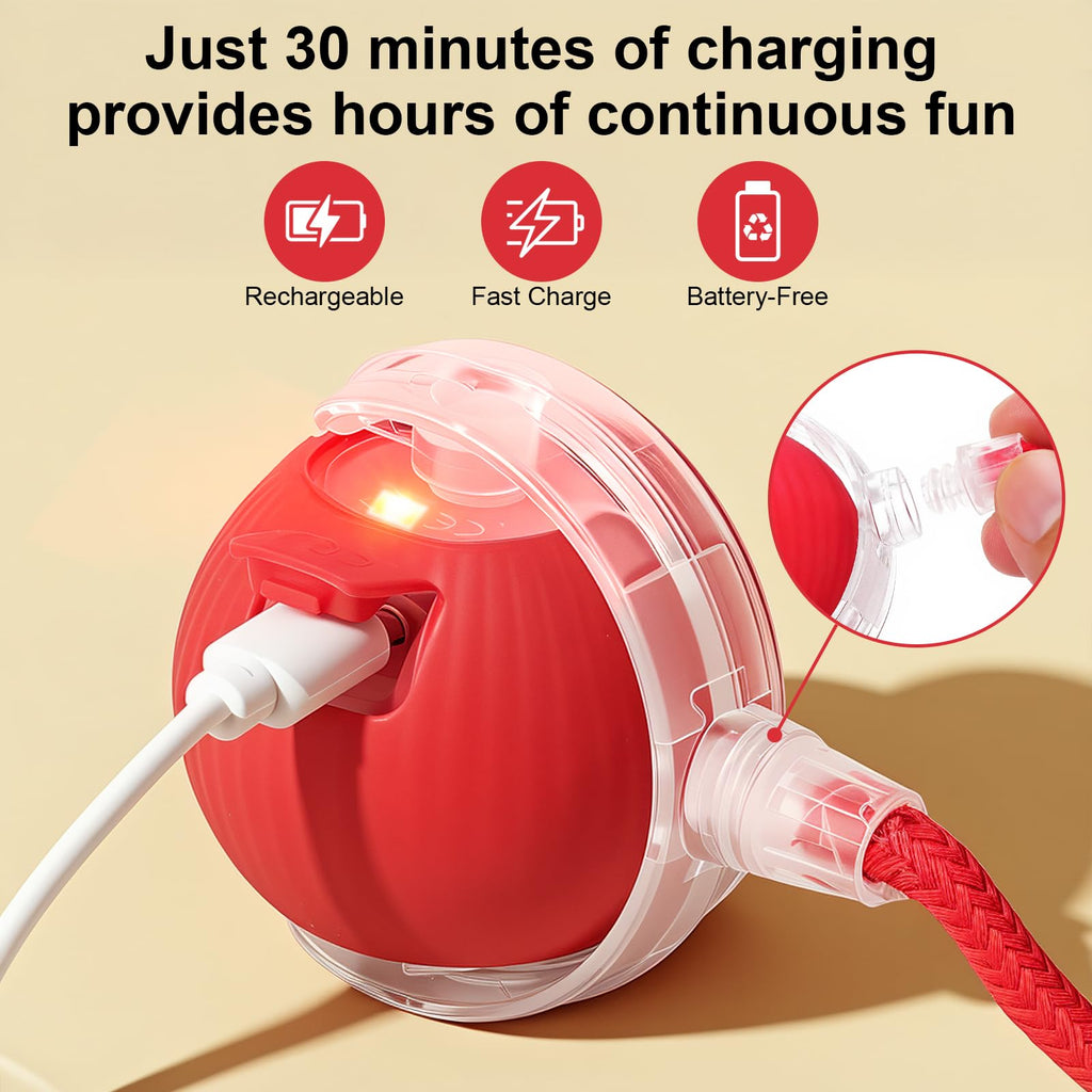 Automatic Rolling Electronic Cat Dog Toy U460