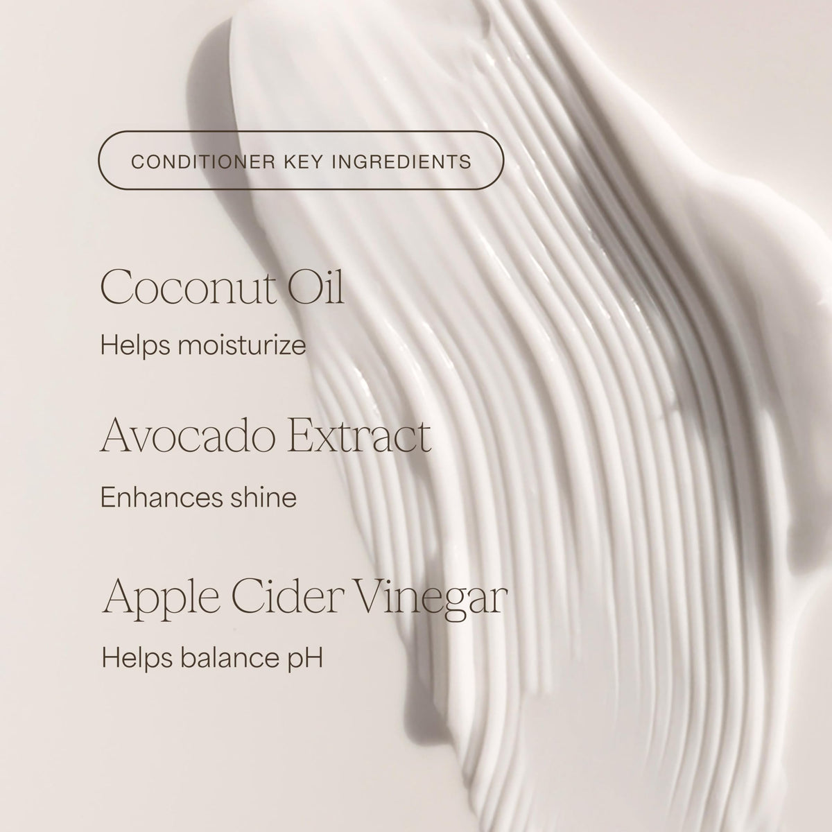 Shampoo and Conditioner Set 16 Fl Oz N71663