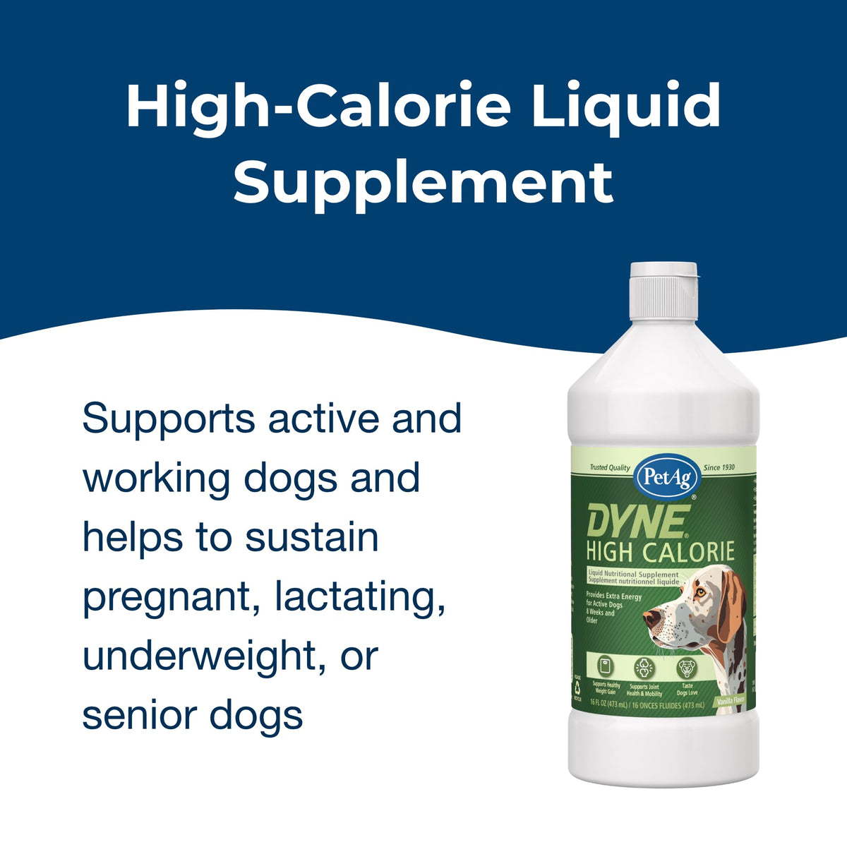 High Calorie Liquid Nutritional Supplement for Dogs & Puppies 16 oz W68294