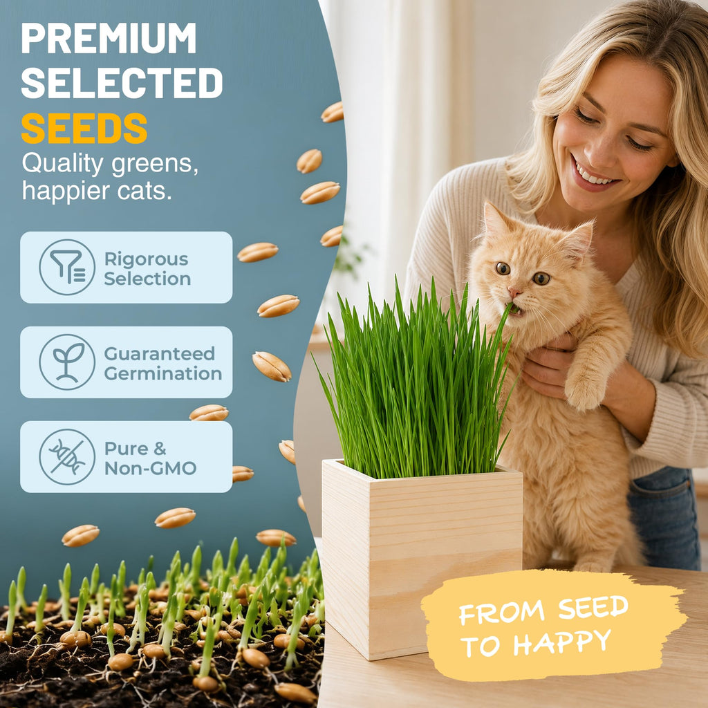 Cat Grass Growing Kit with Wooden Planter E374