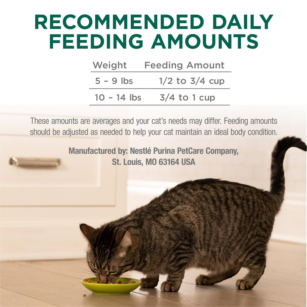 High Protein Dry Cat Food with Vitamins and Minerals 35 lb Bag S688