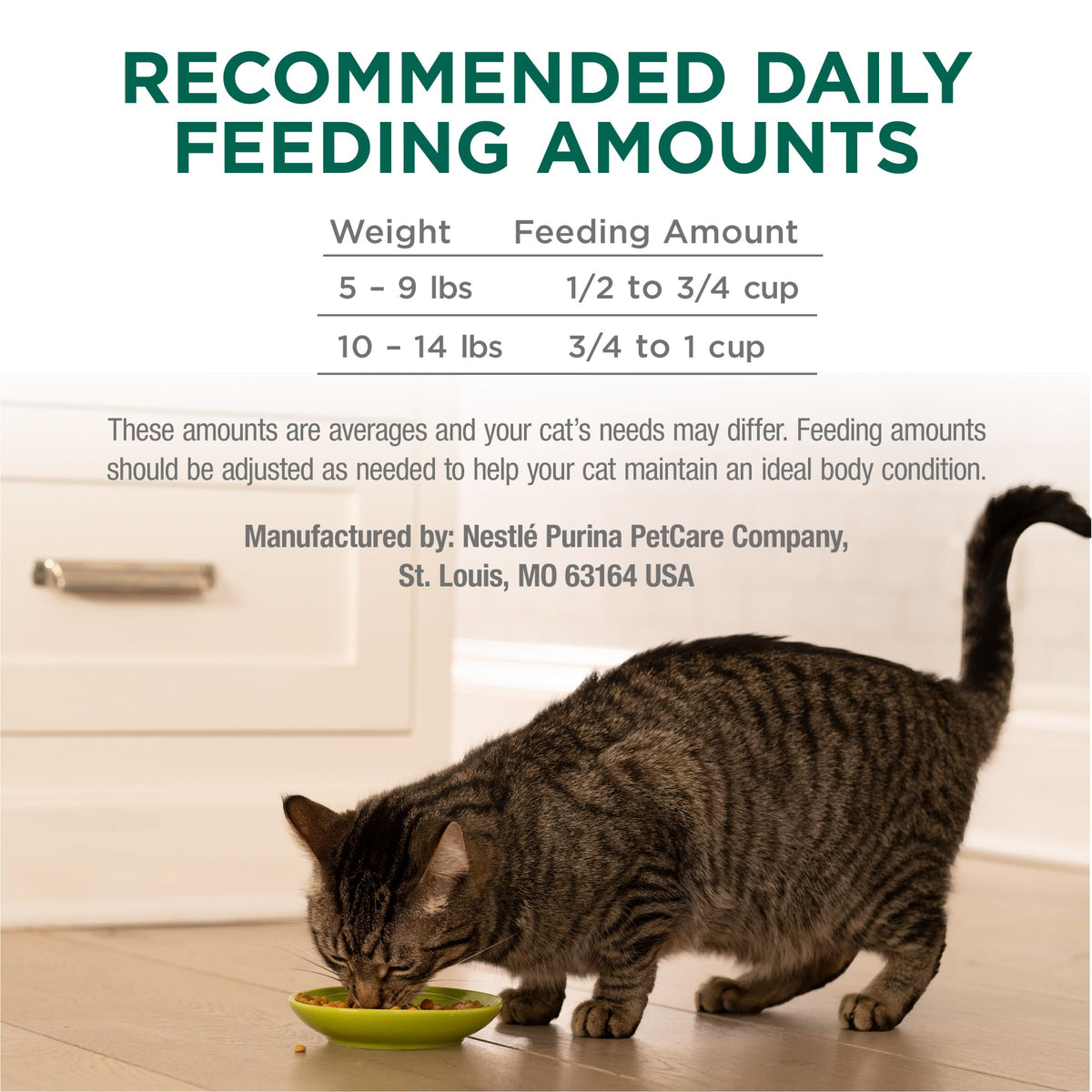 High Protein Dry Cat Food with Vitamins and Minerals 35 lb Bag S688