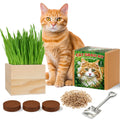 Cat Grass Growing Kit with Wooden Planter E374