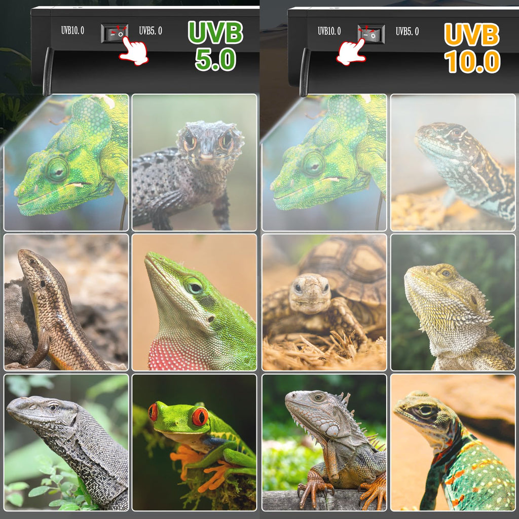 24W T5 UVB Reptile Light Combo Kit J691347