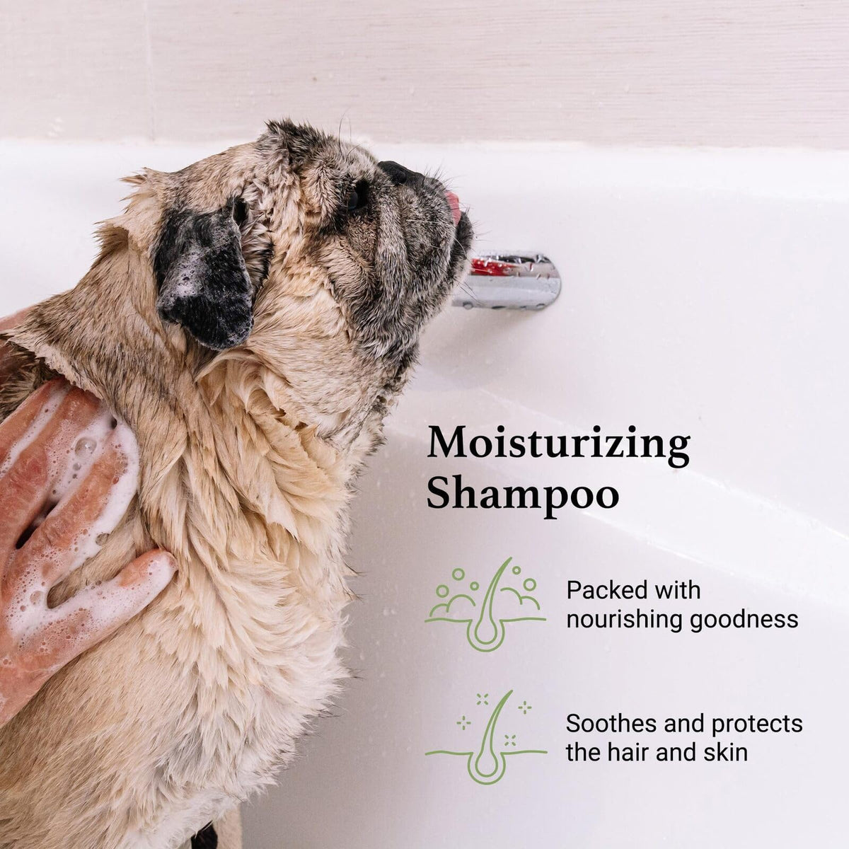 Argan Vitamin E Dog Shampoo Gallon D7549