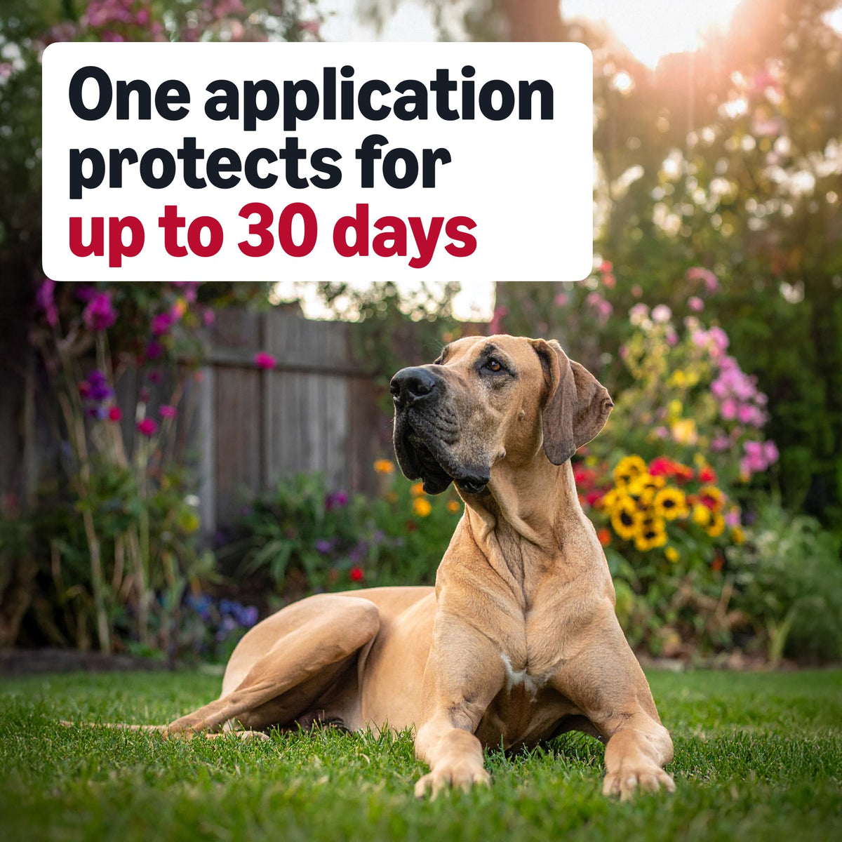 Flea and Tick Topical Treatment for Extra Large Dogs 3 Count E3414
