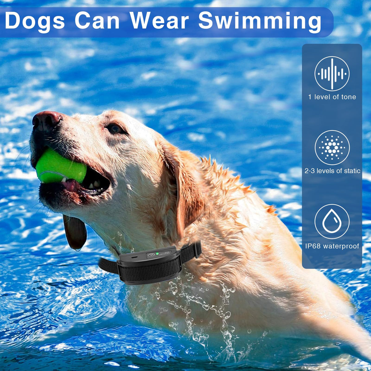 In-Ground Electric Dog Fence System with 2 Collars B97648