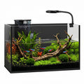 2 Gallon Fish Tank with Light and Filter J477079