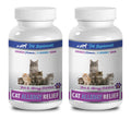 Cat Skin and Coat Supplement Chewable Tablets D1876