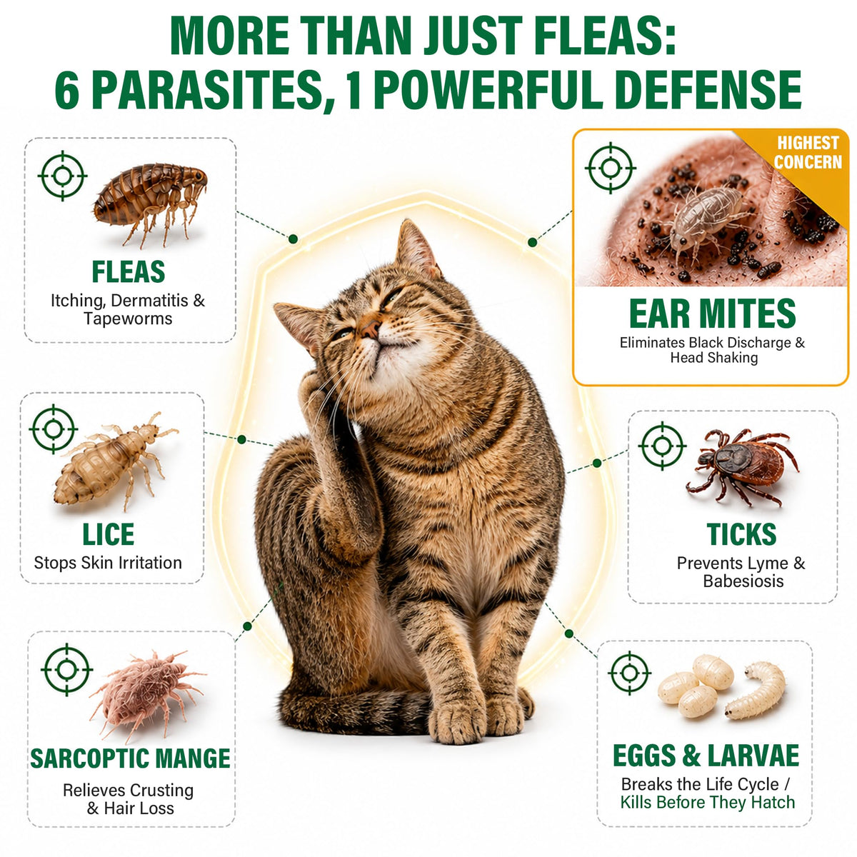 Cat Flea & Tick Topical Drops 12 Doses E437566