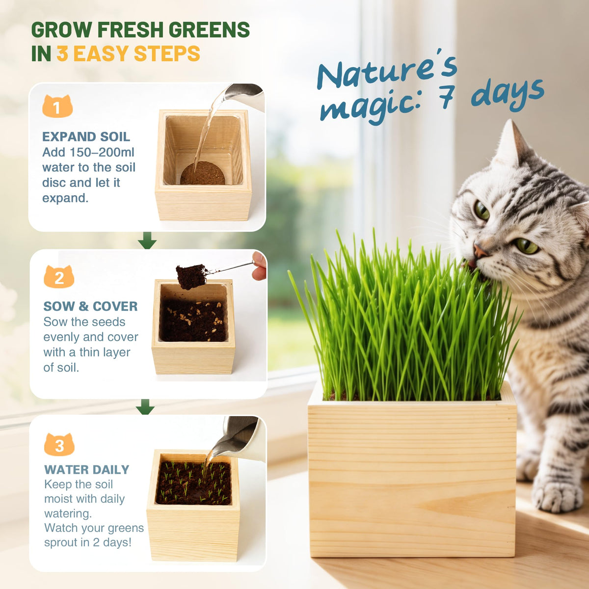 Cat Grass Growing Kit with Wooden Planter E374