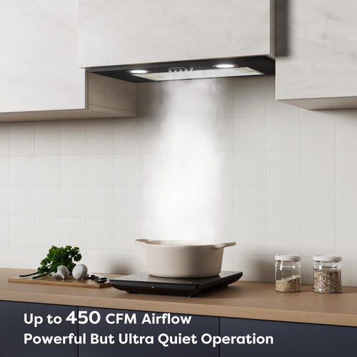 20 inch 650 CFM Black Insert Range Hood I91573