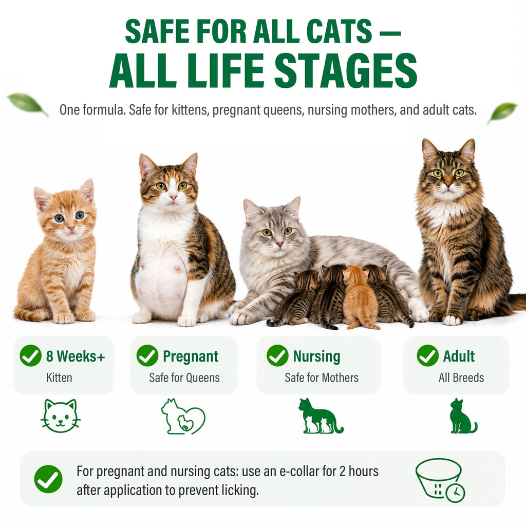 Cat Flea & Tick Topical Drops 12 Doses E437566