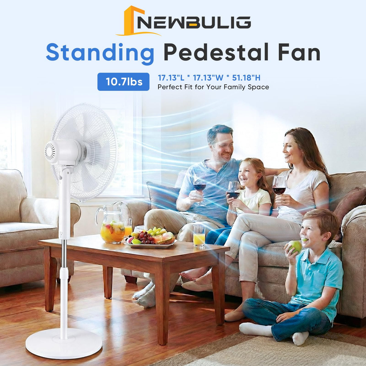 17" Oscillating Pedestal Fan with Remote P8022