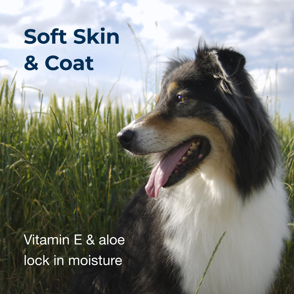 Linen Scented Shampoo 1 Gallon with Vitamin E & Aloe Vera T69743