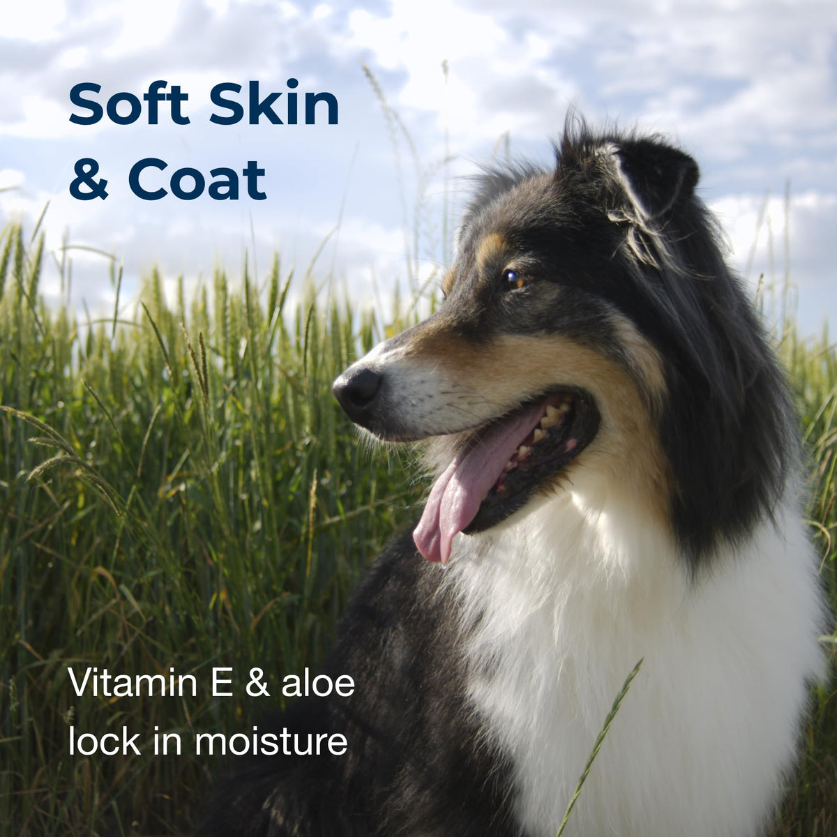 Linen Scented Shampoo 1 Gallon with Vitamin E & Aloe Vera T69743