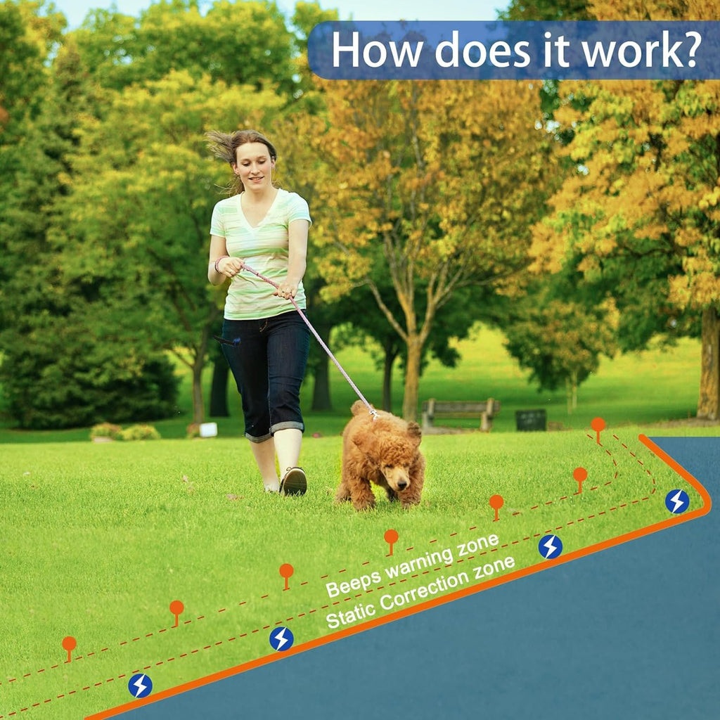 In-Ground Electric Dog Fence System with 2 Collars B97648