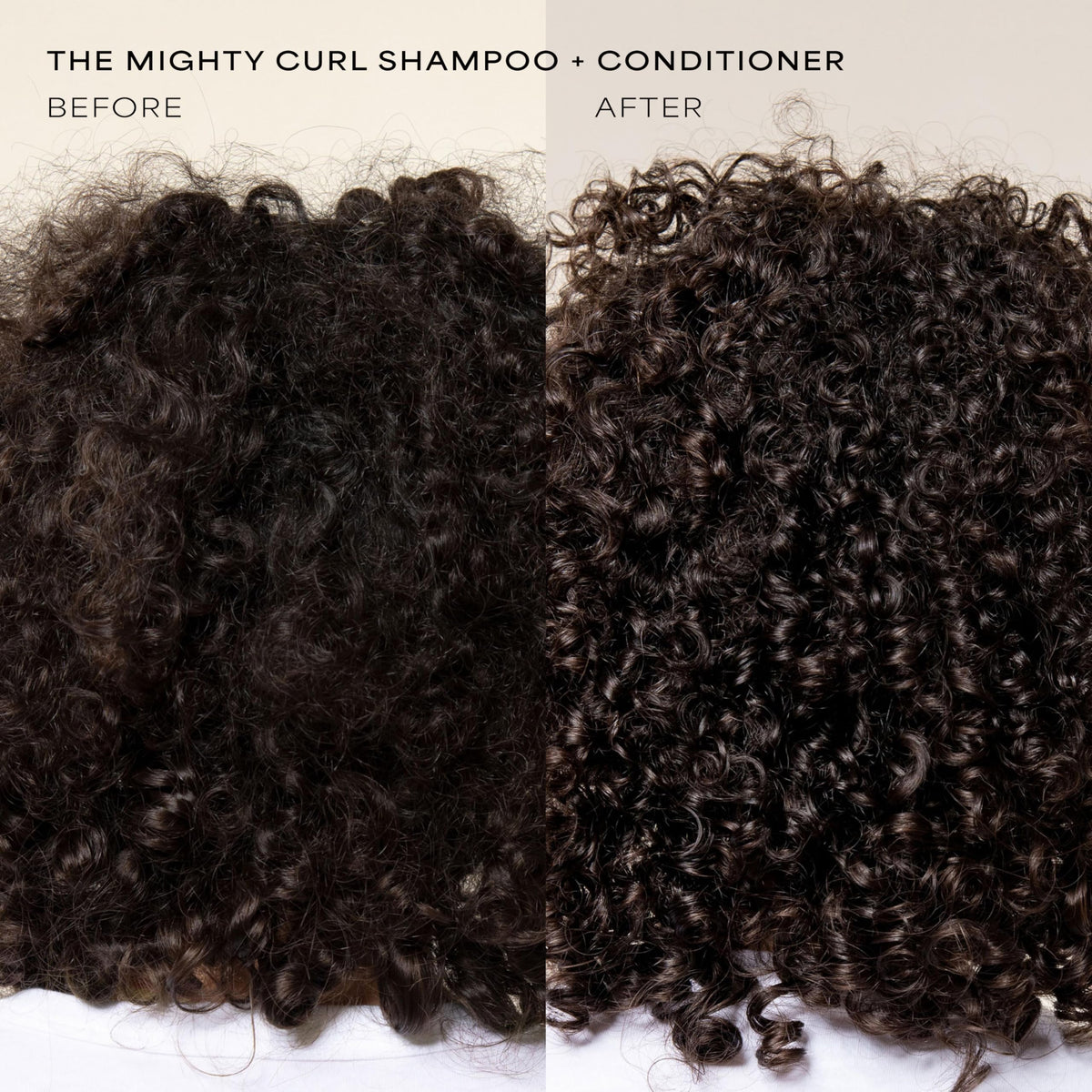 Shampoo and Conditioner Set 16 Fl Oz N71663