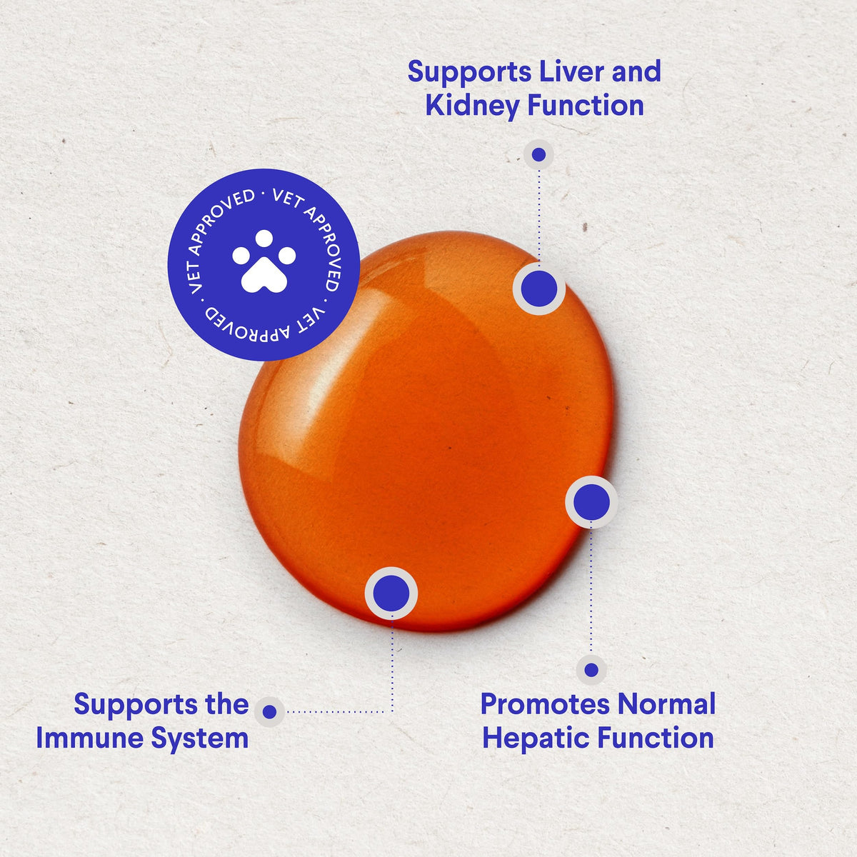 Milk Thistle Liver Support for Dogs with Salmon Oil & Curcumin 2 Oz U2005