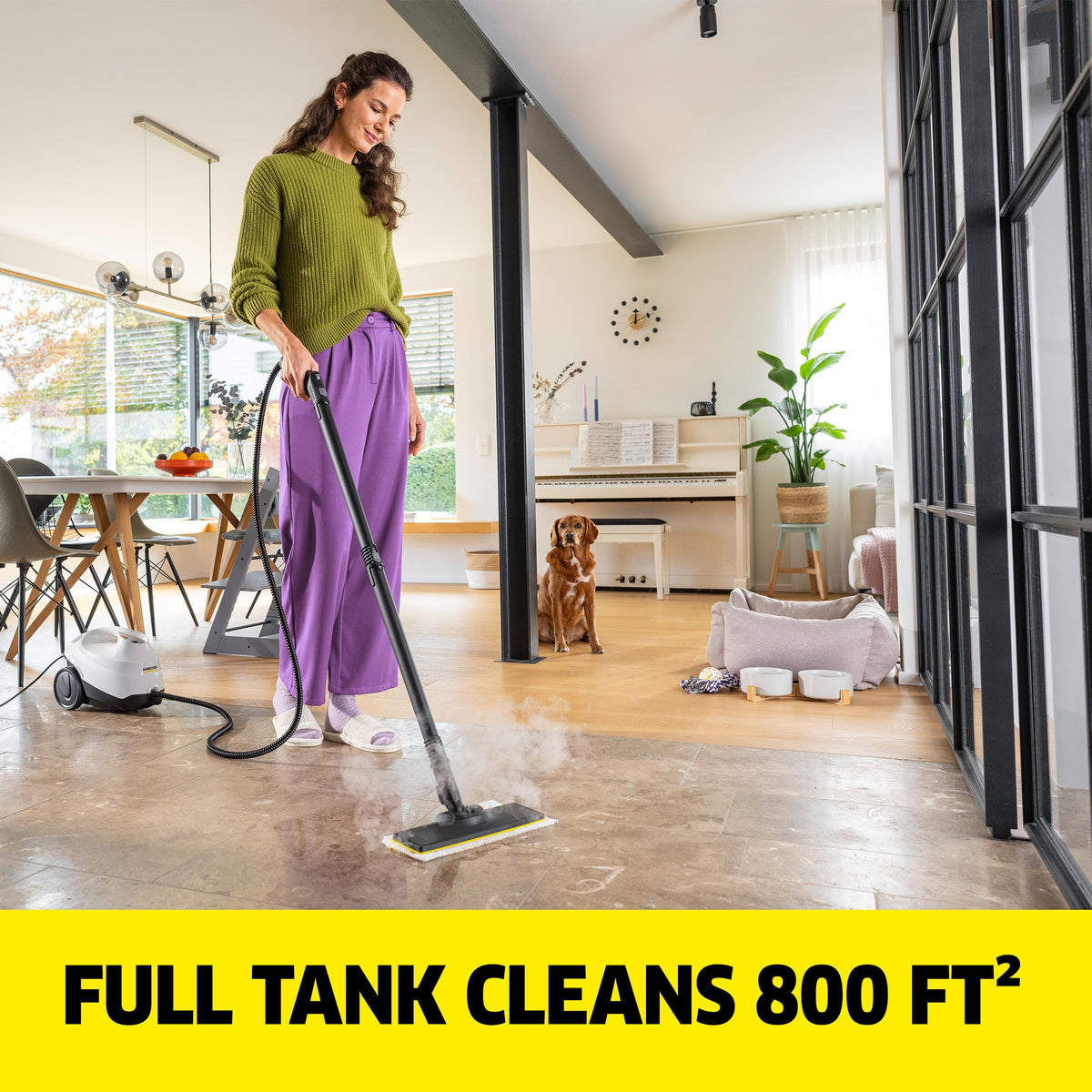 Steam Cleaner, 40 Sec Heat-up, Chemical-Free P2286