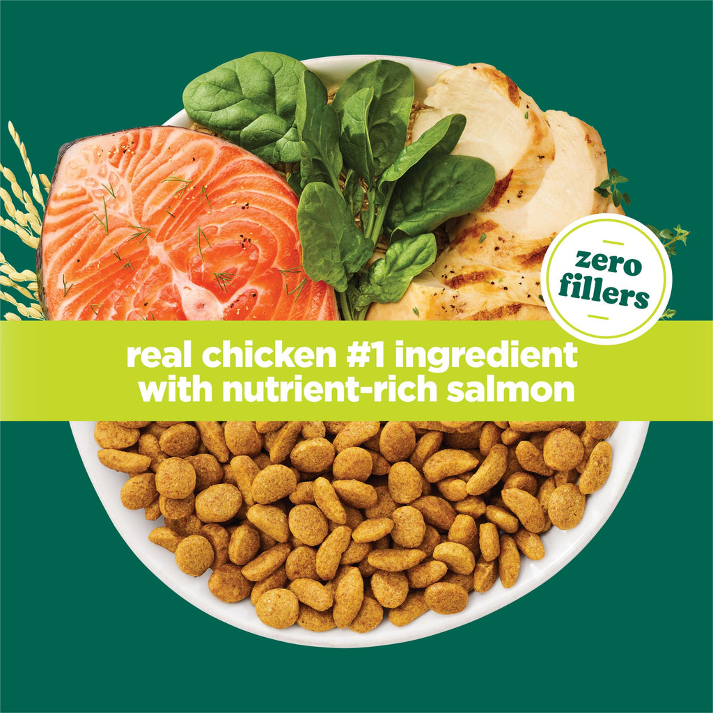 High Protein Dry Cat Food with Vitamins and Minerals 35 lb Bag S688